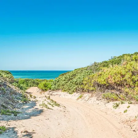 Ginepri Bilo * 巴德希